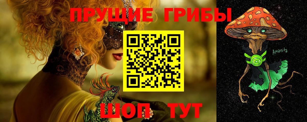 Псилоцибиновые грибы Psilocybine cubensis  Вход с VPN  Бугуруслан 